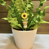 Petal Pokes